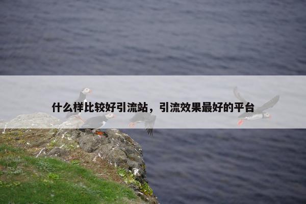 什么样比较好引流站，引流效果最好的平台
