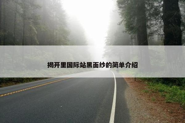 揭开里国际站黑面纱的简单介绍