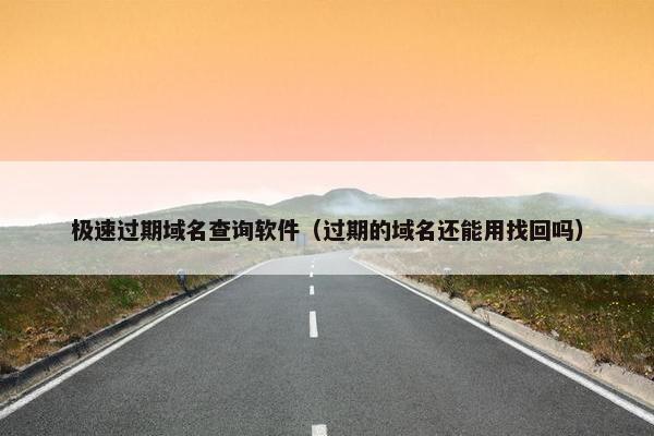 极速过期域名查询软件（过期的域名还能用找回吗）