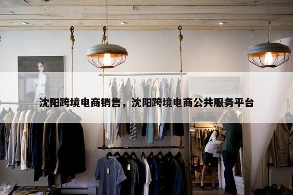 沈阳跨境电商销售，沈阳跨境电商公共服务平台