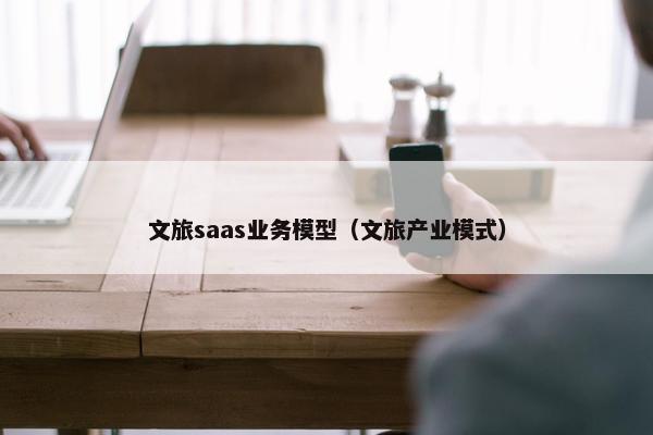 文旅saas业务模型（文旅产业模式）