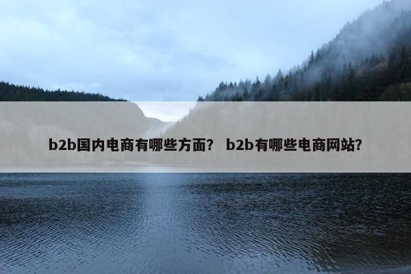 b2b国内电商有哪些方面？ b2b有哪些电商网站？