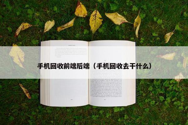 手机回收前端后端（手机回收去干什么）