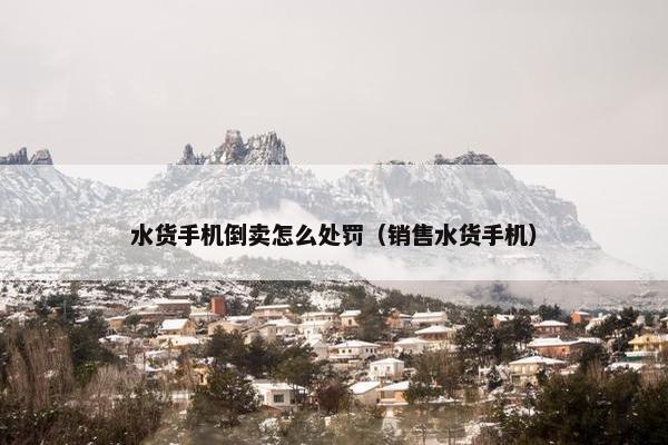 水货手机倒卖怎么处罚（销售水货手机）