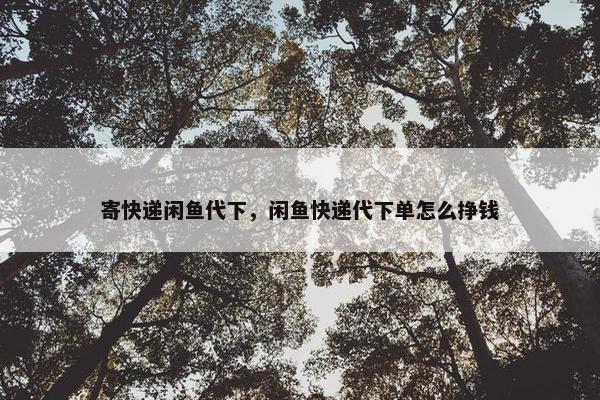 寄快递闲鱼代下，闲鱼快递代下单怎么挣钱