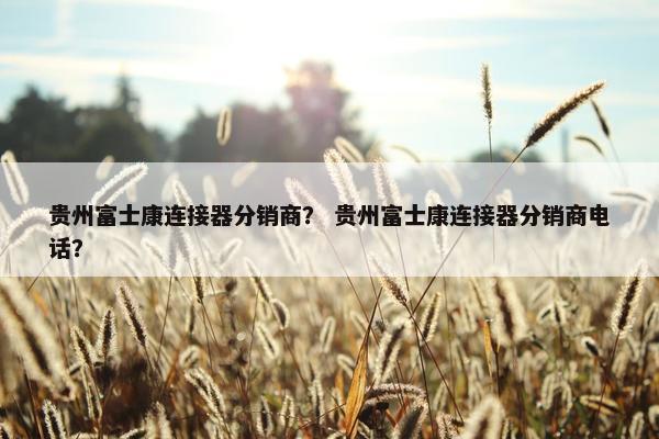 贵州富士康连接器分销商？ 贵州富士康连接器分销商电话？