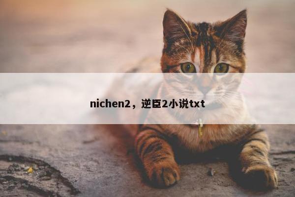 nichen2，逆臣2小说txt
