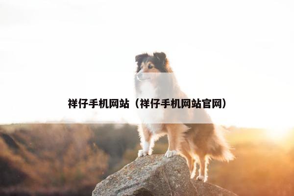 祥仔手机网站（祥仔手机网站官网）