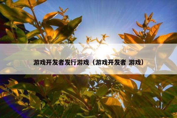 游戏开发者发行游戏（游戏开发者 游戏）