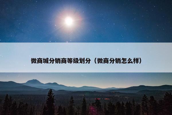 微商城分销商等级划分（微商分销怎么样）