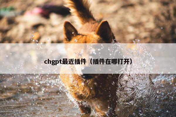 chgpt最近插件（插件在哪打开）