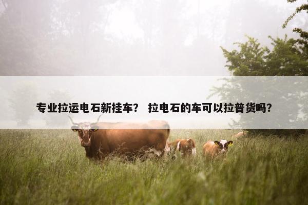 专业拉运电石新挂车？ 拉电石的车可以拉普货吗？