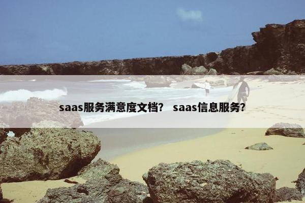 saas服务满意度文档？ saas信息服务？