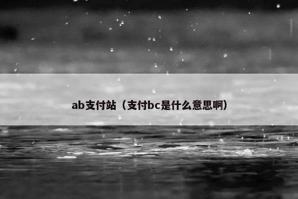 ab支付站（支付bc是什么意思啊）