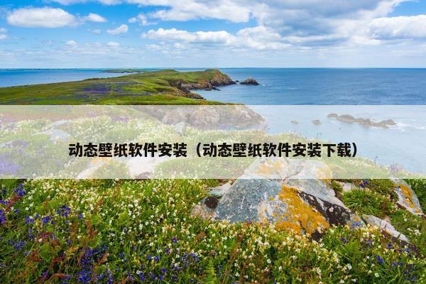 动态壁纸软件安装（动态壁纸软件安装下载）