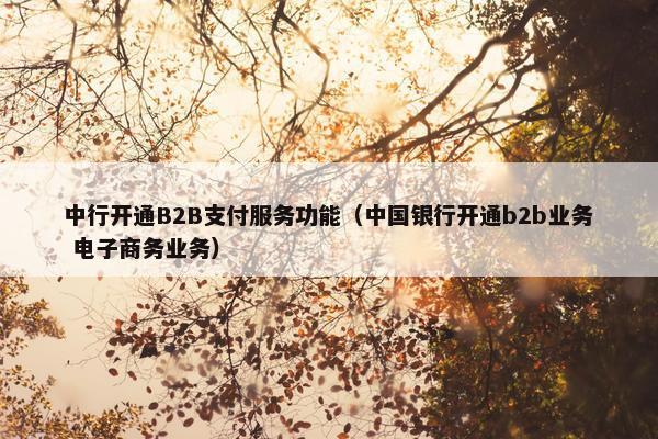 中行开通B2B支付服务功能（中国银行开通b2b业务 电子商务业务）