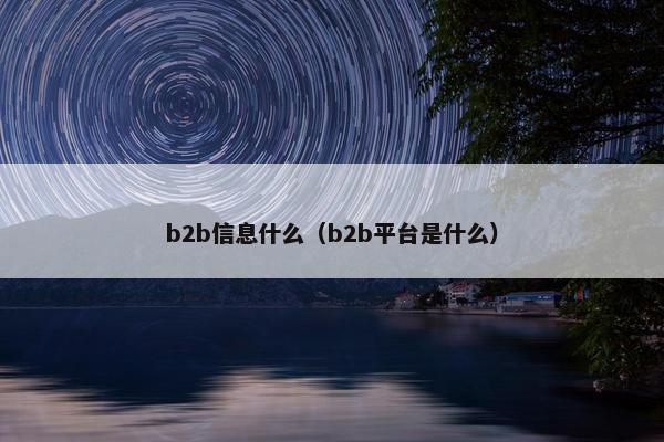 b2b信息什么（b2b平台是什么）