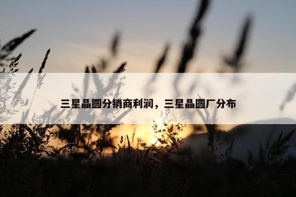 三星晶圆分销商利润，三星晶圆厂分布