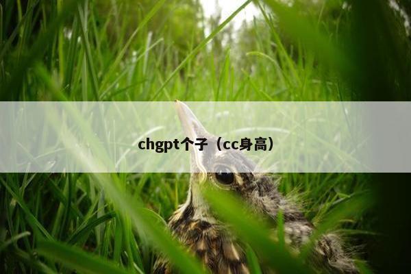 chgpt个子（cc身高）
