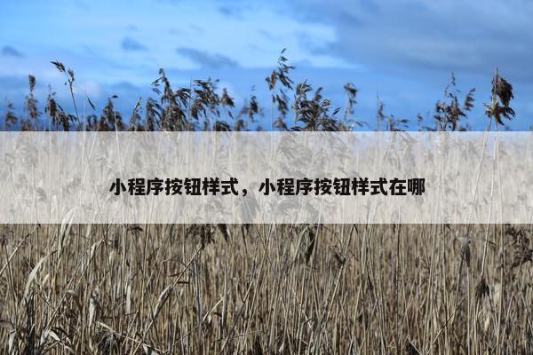 小程序按钮样式，小程序按钮样式在哪