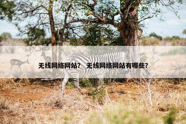 无线网络网站？ 无线网络网站有哪些？