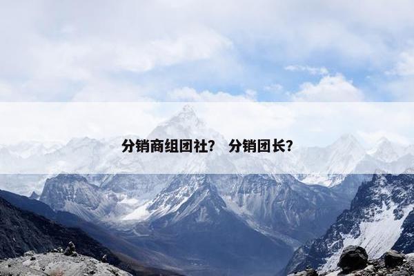 分销商组团社？ 分销团长？