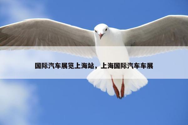 国际汽车展览上海站，上海国际汽车车展