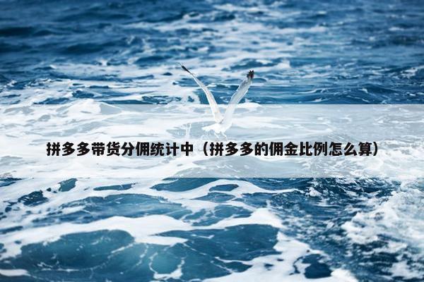 拼多多带货分佣统计中（拼多多的佣金比例怎么算）