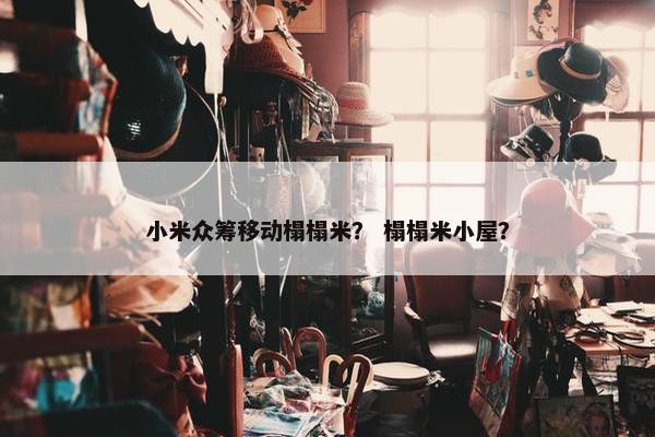 小米众筹移动榻榻米？ 榻榻米小屋？
