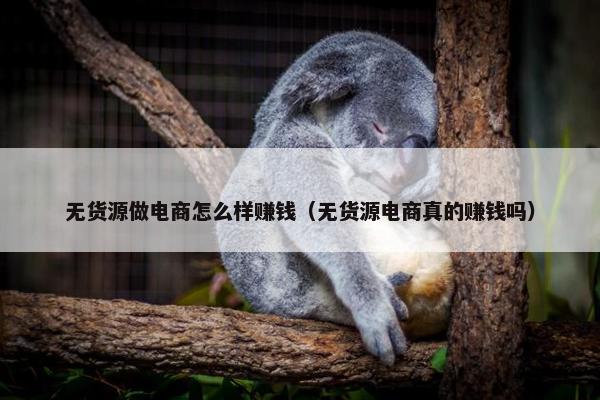 无货源做电商怎么样赚钱（无货源电商真的赚钱吗）