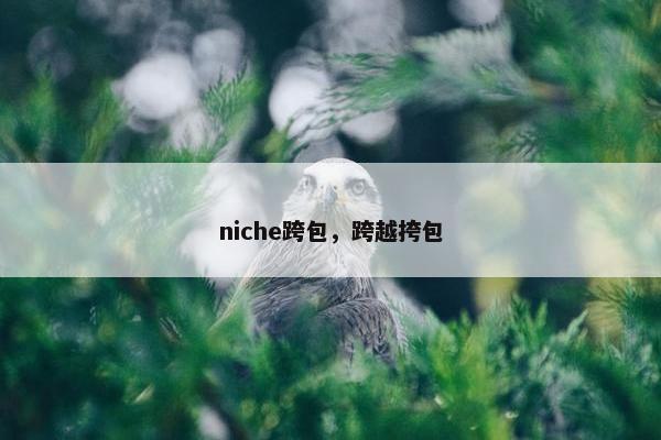 niche跨包，跨越挎包