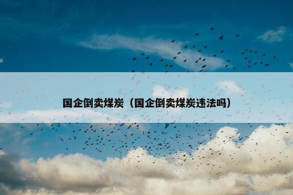 国企倒卖煤炭（国企倒卖煤炭违法吗）