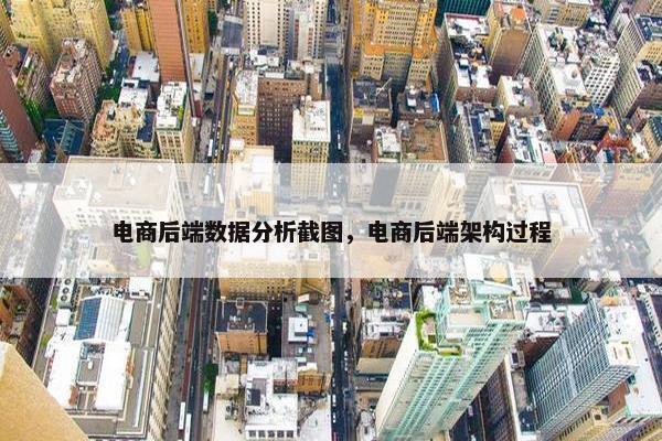 电商后端数据分析截图，电商后端架构过程