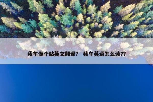 我车像个站英文翻译？ 我车英语怎么读?？