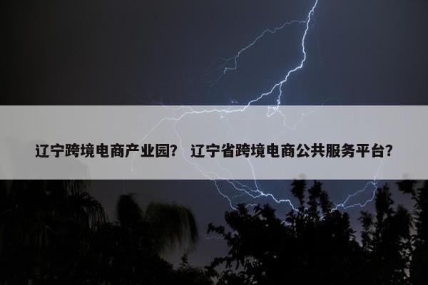 辽宁跨境电商产业园？ 辽宁省跨境电商公共服务平台？