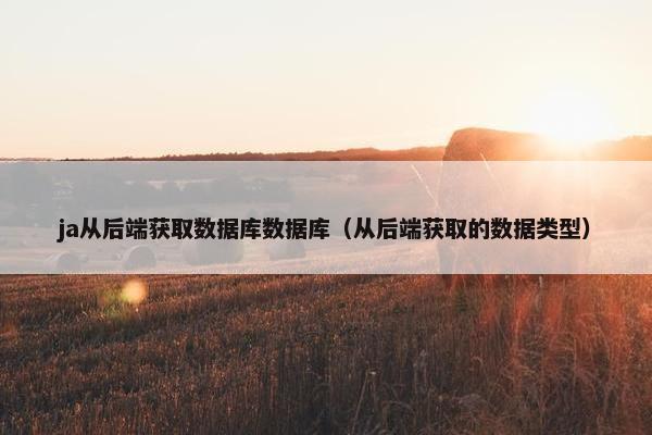 ja从后端获取数据库数据库（从后端获取的数据类型）
