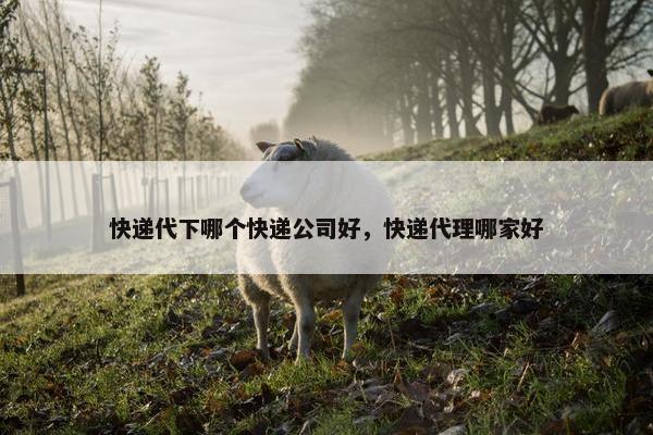 快递代下哪个快递公司好，快递代理哪家好