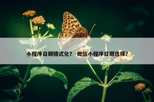 小程序日期格式化？ 微信小程序日期选择？