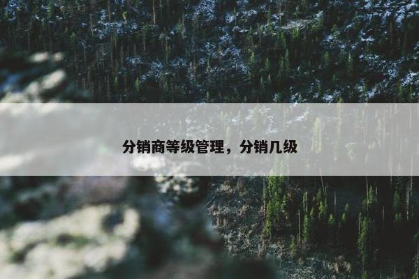 分销商等级管理，分销几级
