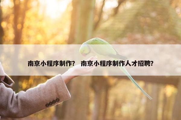 南京小程序制作？ 南京小程序制作人才招聘？