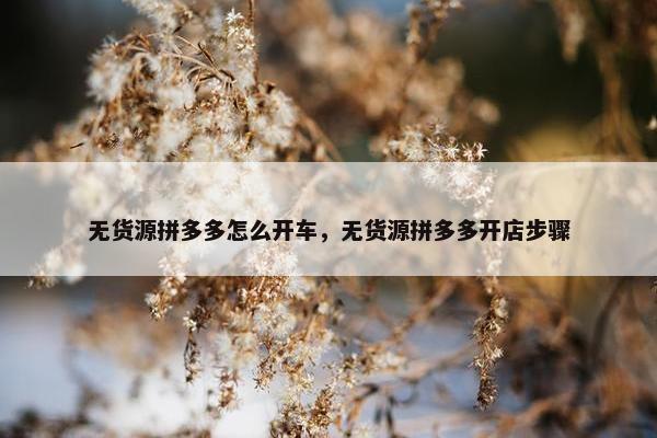 无货源拼多多怎么开车，无货源拼多多开店步骤