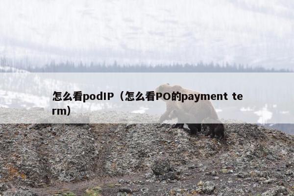 怎么看podIP（怎么看PO的payment term）