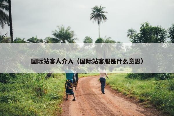 国际站客人介入（国际站客服是什么意思）
