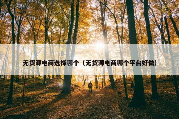 无货源电商选择哪个（无货源电商哪个平台好做）