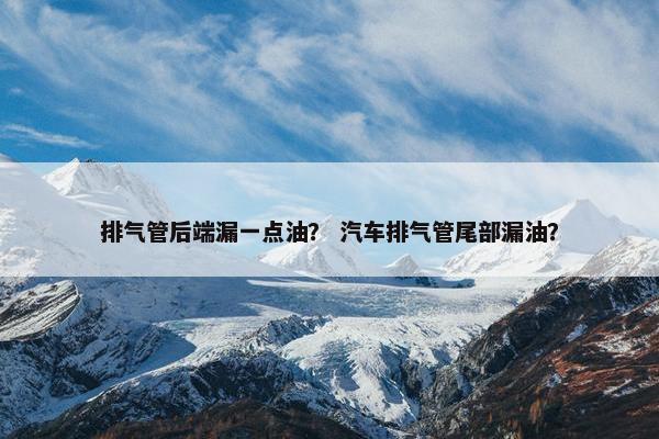 排气管后端漏一点油？ 汽车排气管尾部漏油？