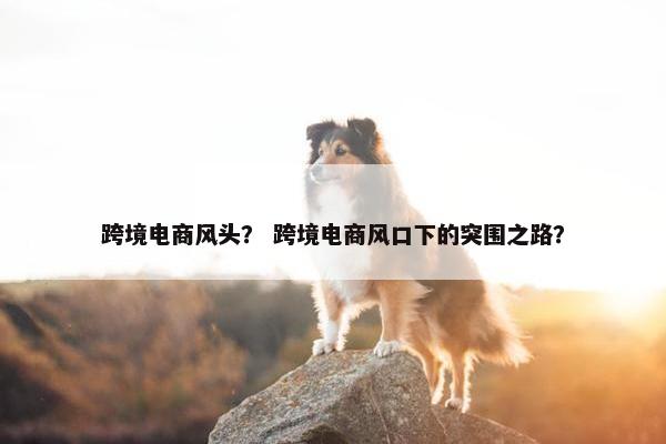 跨境电商风头？ 跨境电商风口下的突围之路？