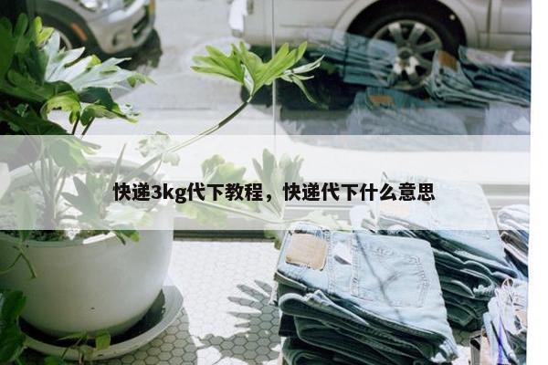 快递3kg代下教程，快递代下什么意思