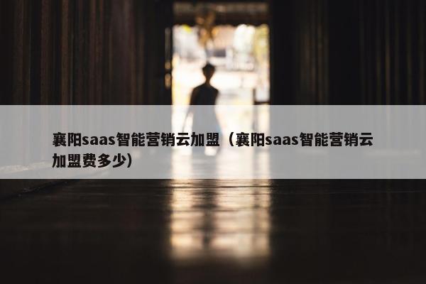 襄阳saas智能营销云加盟（襄阳saas智能营销云加盟费多少）