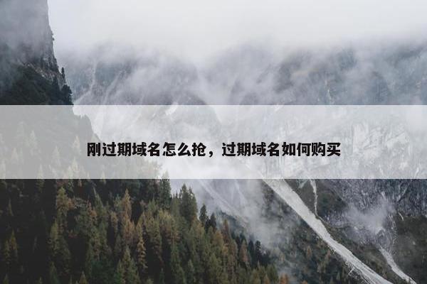 刚过期域名怎么抢，过期域名如何购买