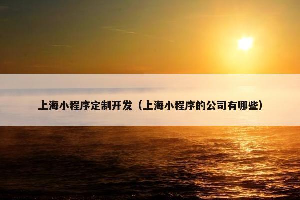 上海小程序定制开发（上海小程序的公司有哪些）